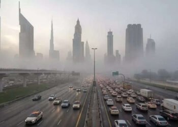 Red-Alert Fog and Cool Snap Disrupts Travel and Commutes Across UAE